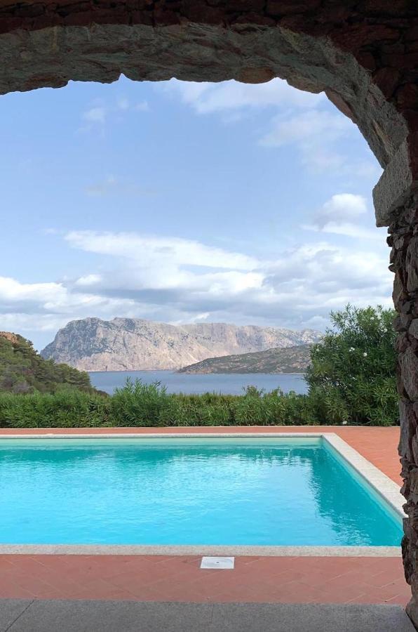San Teodoro Punta Est Curatissimo Bilocale Apartment Capo Coda Cavallo Ngoại thất bức ảnh